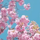 北京旅游 缩略图 14