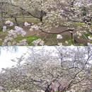 北京旅游 缩略图 11