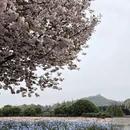 上海旅游 缩略图 2
