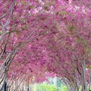 北京旅游 缩略图 2