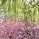北京旅游 缩略图 17