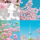 北京旅游 缩略图 1