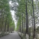 上海旅游 缩略图 1