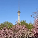 北京旅游 缩略图 10