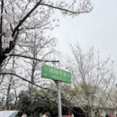 南京旅游 缩略图 12