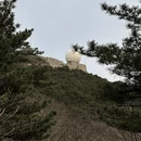 黄山旅游 缩略图 5