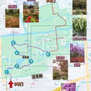 上海旅游 缩略图 2