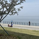 青岛旅游 缩略图 3