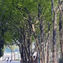 无锡旅游 缩略图 7
