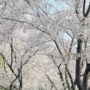 无锡旅游 缩略图 4