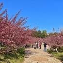 北京旅游 缩略图 3