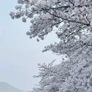 无锡旅游 缩略图 2
