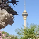 北京旅游 缩略图 3