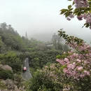 宁波旅游 缩略图 1