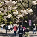 北京旅游 缩略图 2