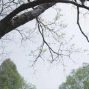 南京旅游 缩略图 4