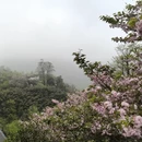 宁波旅游 缩略图 5