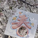 大连旅游 缩略图 4
