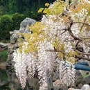 无锡旅游 缩略图 1