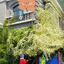 南京旅游 缩略图 2