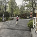 上海旅游 缩略图 7