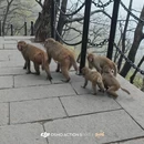 连云港旅游 缩略图 17