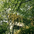 南京旅游 缩略图 18
