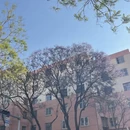 昆明旅游 缩略图 1