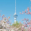 北京旅游 缩略图 3