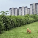 成都旅游 缩略图 3