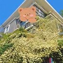 南京旅游 缩略图 4
