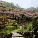 宁波旅游 缩略图 10