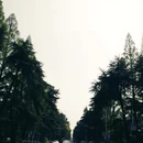 南京旅游 缩略图 7