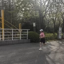 上海旅游 缩略图 5