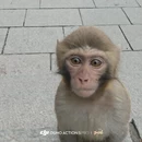 连云港旅游 缩略图 15