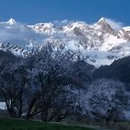 林芝旅游 缩略图 3