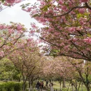 上海旅游 缩略图 9