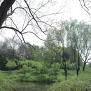 南京旅游 缩略图 10