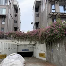 成都旅游 缩略图 10
