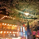 北京旅游 缩略图 10