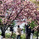 北京旅游 缩略图 18