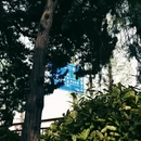 南京旅游 缩略图 4