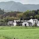 黄山旅游 缩略图 7