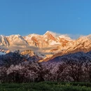 拉萨旅游 缩略图 1
