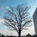 北京旅游 缩略图 3