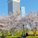 大连旅游 缩略图 3