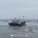 连云港旅游 缩略图 13