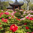 上海旅游 缩略图 12