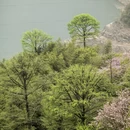 宁波旅游 缩略图 4