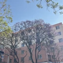 昆明旅游 缩略图 3